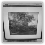 P44. SOLD
