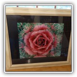 A06. "Too Marvelous for Words"  Photographic print by Murry Dubronis. Frame 19.5"h x 24"w
