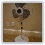 Z11. Standing fan. - $18